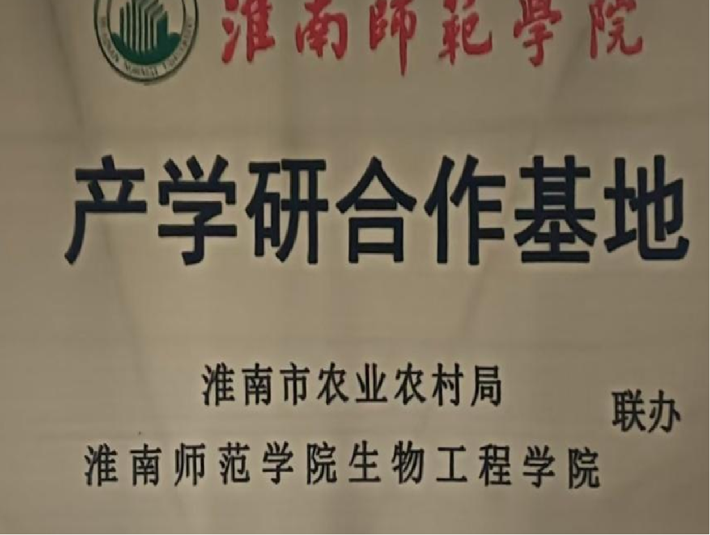 榮譽(yù)7