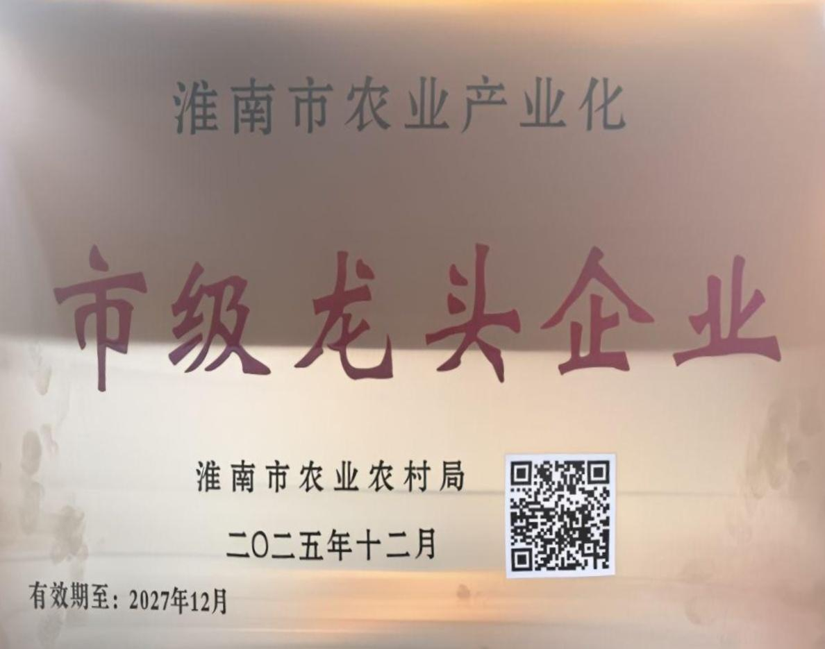 榮譽(yù)3