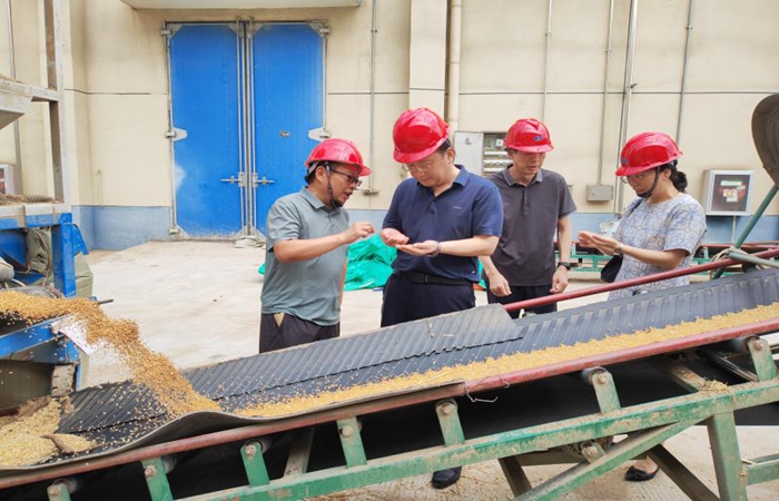 局黨組書記、局長蔣超督導(dǎo)省儲小麥?zhǔn)召徍图Z食倉儲項目建設(shè)工作