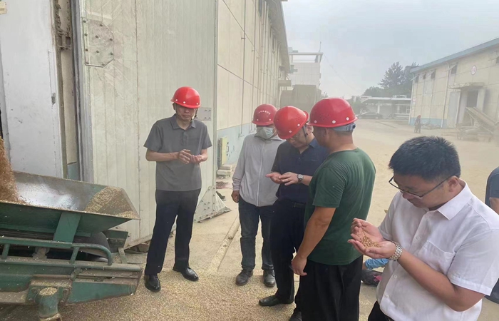 局黨組書記、局長蔣超督導(dǎo)省市級儲備糧收購、項目建設(shè)工作