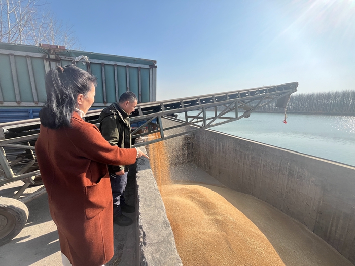 “黨建領(lǐng)航，守護(hù)糧安”淮糧集團(tuán)開展特色品牌黨建活動(dòng)