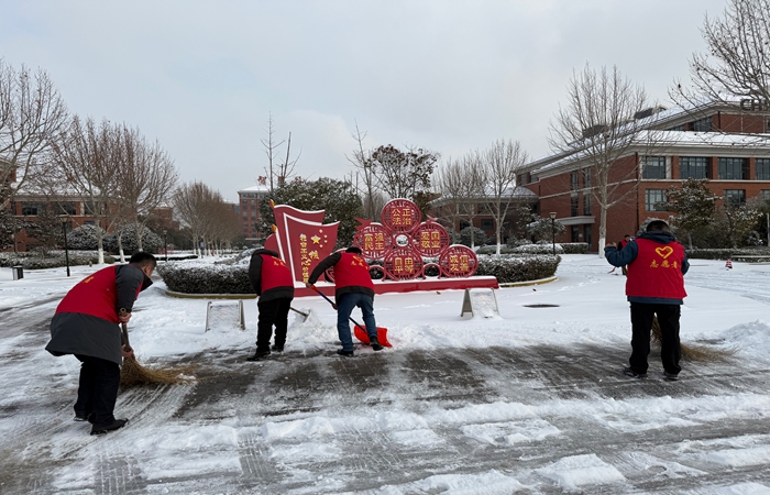 鏟冰除雪保暢通——裕農(nóng)公司黨支部在行動(dòng)