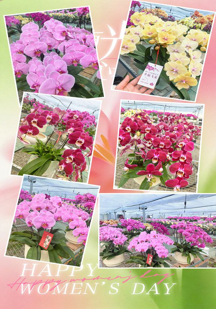 微信圖片_20260310101851_13_7