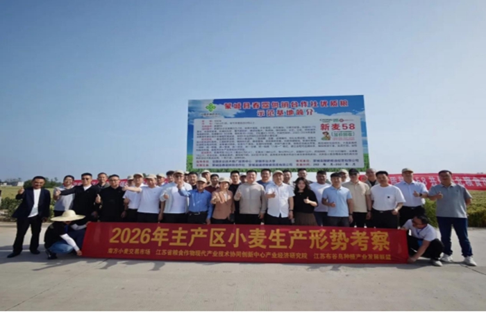 實(shí)業(yè)公司赴蒙城開展夏糧調(diào)研